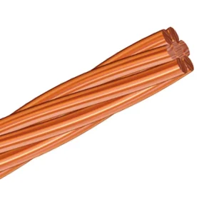 Cable Desnudo