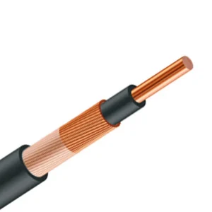 Concéntrico